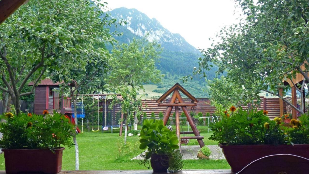 Hotel Sura Pietrei Craiului Zărneşti Exterior foto