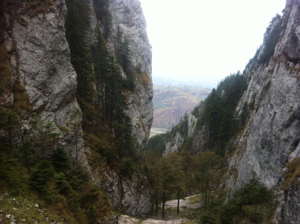 Hotel Sura Pietrei Craiului Zărneşti Exterior foto