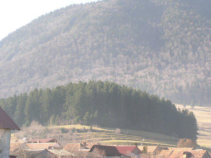 Hotel Sura Pietrei Craiului Zărneşti Exterior foto
